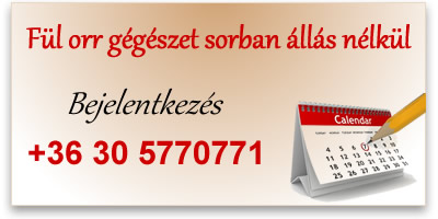 fül orr gégészet sorban állás nélkül fül orr gégészet sorban állás nélkül